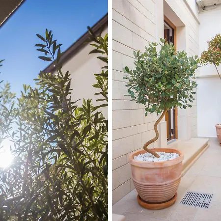 Vakantiehuis Camellia *