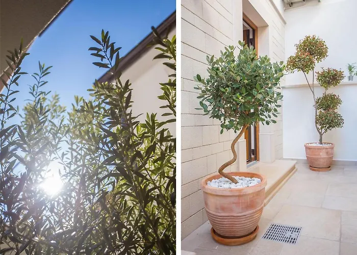 Tatil Evi Camellia *