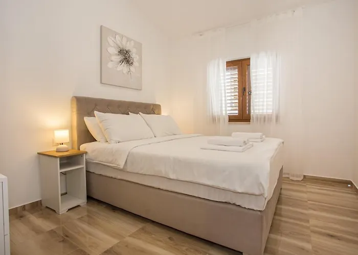 Camellia Tatil Evi *